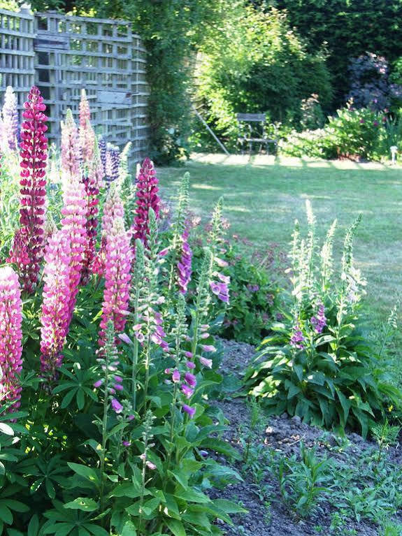Catton Old Hall Bed and Breakfast Norwich Buitenkant foto